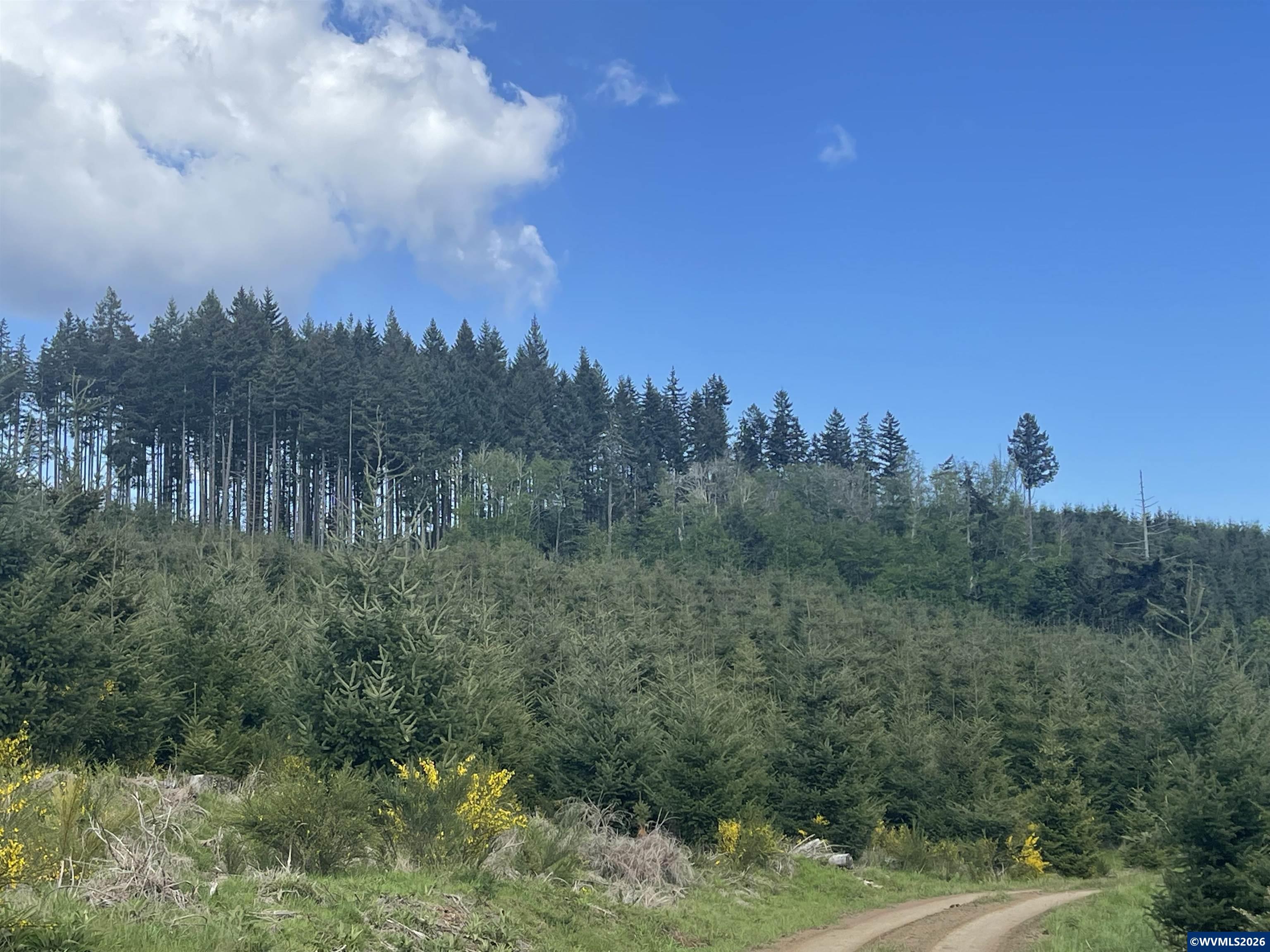Lot 13 Southwest Rock Creek Road Sheridan, OR 97378 - Photo 1 of 4