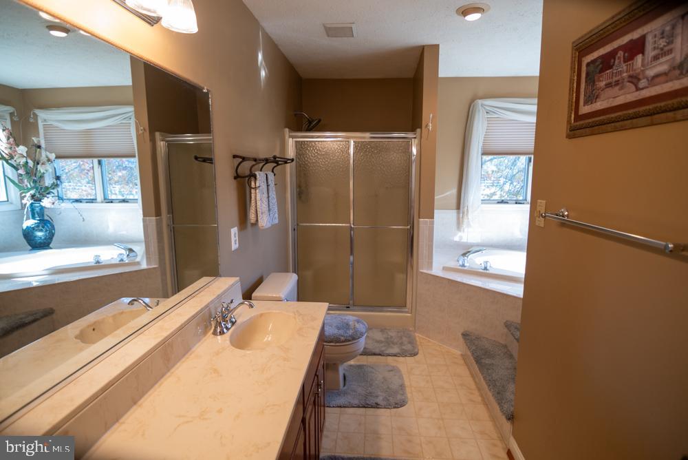 15900 Bald Eagle School Road Brandywine, MD 20613 - Photo 29 of 33 a bathroom with a sink and shower