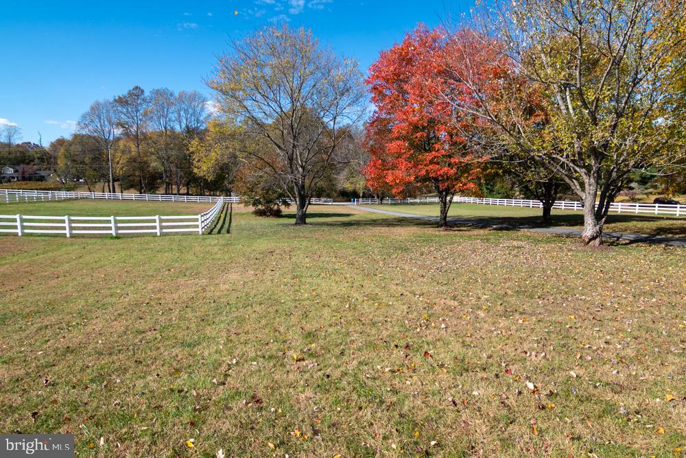 15900 Bald Eagle School Road Brandywine, MD 20613 - Photo 4 of 33 a view of a field with trees