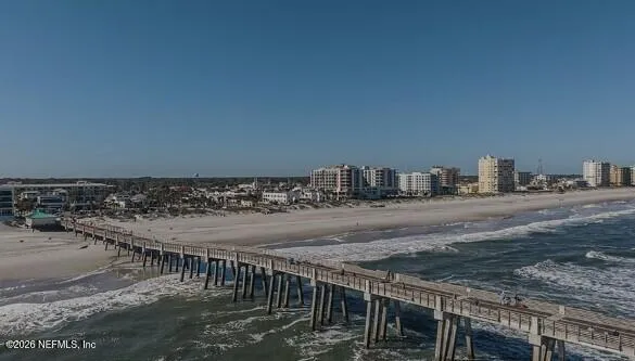 a potted plant sitting in front of a house