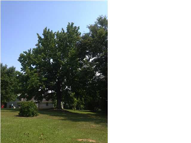 542 Countryside Place Madison, MS 39110 - Photo 23 of 24 Photo 23
