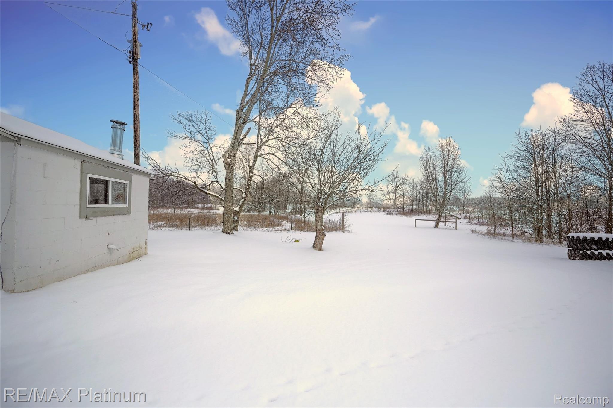 12112 East Lovejoy Road Byron, MI 48418 - Photo 41 of 52 41-Backyard.jpg