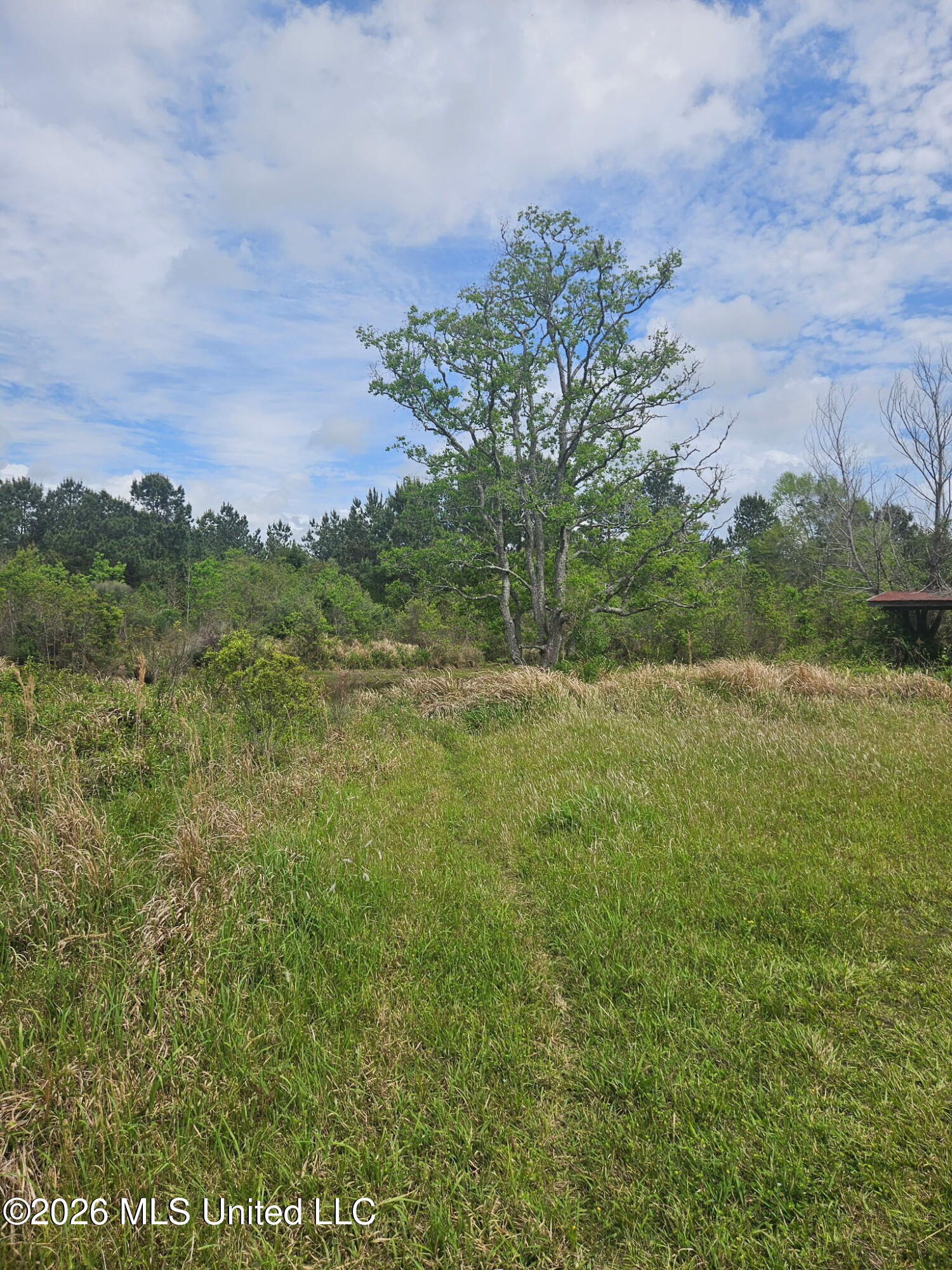 6201 Wesley Powell Road Lucedale, MS 39452 - Photo 6 of 21 IMG_20260407_145413