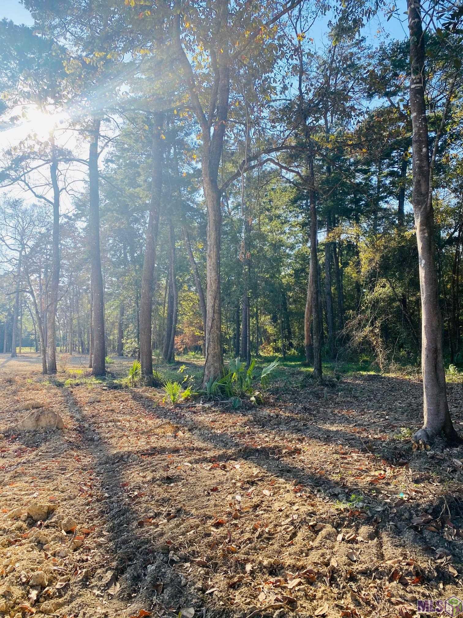 9101 Hillon Hood Road Denham Springs, LA 70726 - Photo 13 of 14 Gallery Image 13