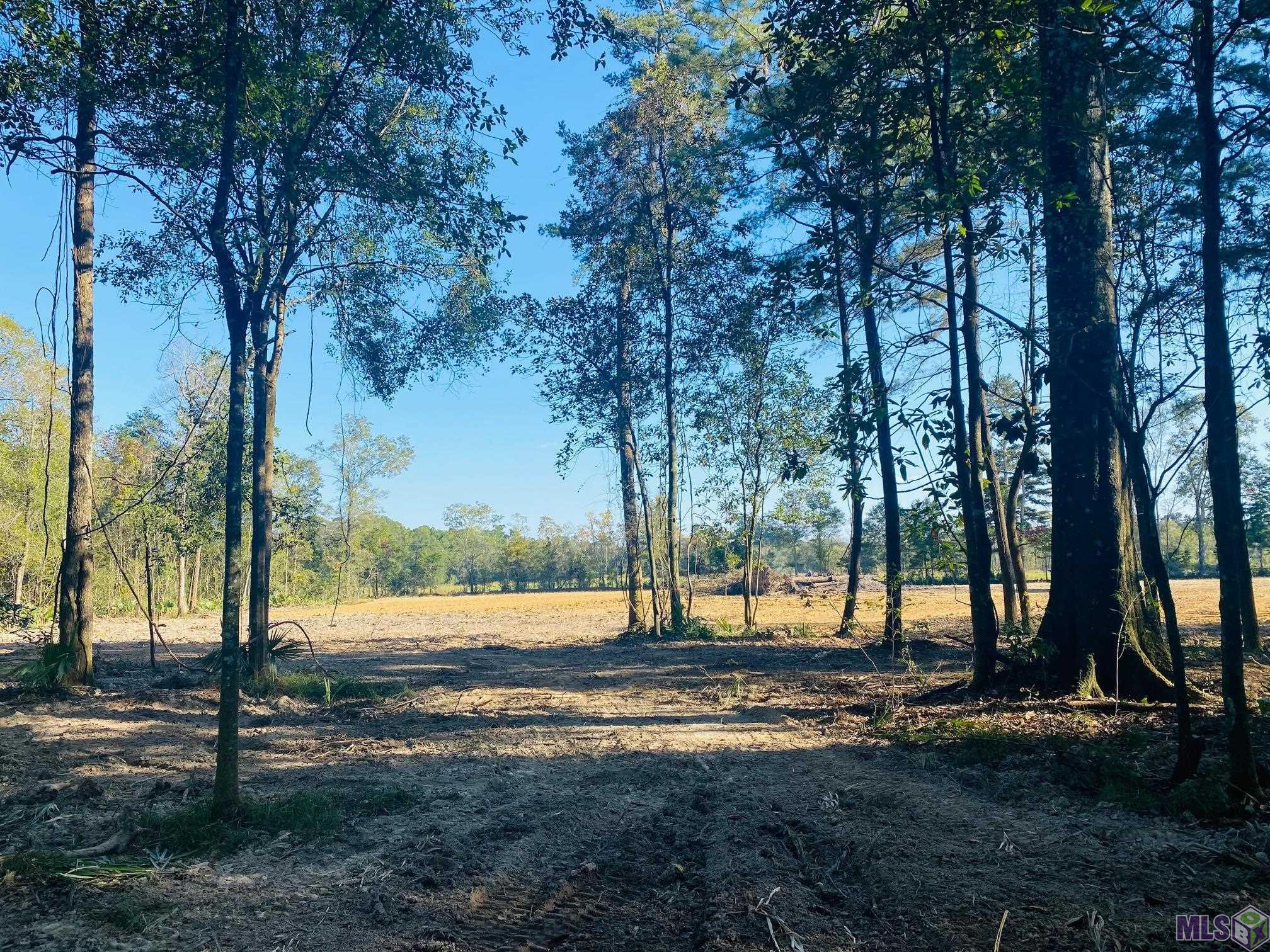 9101 Hillon Hood Road Denham Springs, LA 70726 - Photo 2 of 14 Gallery Image 2