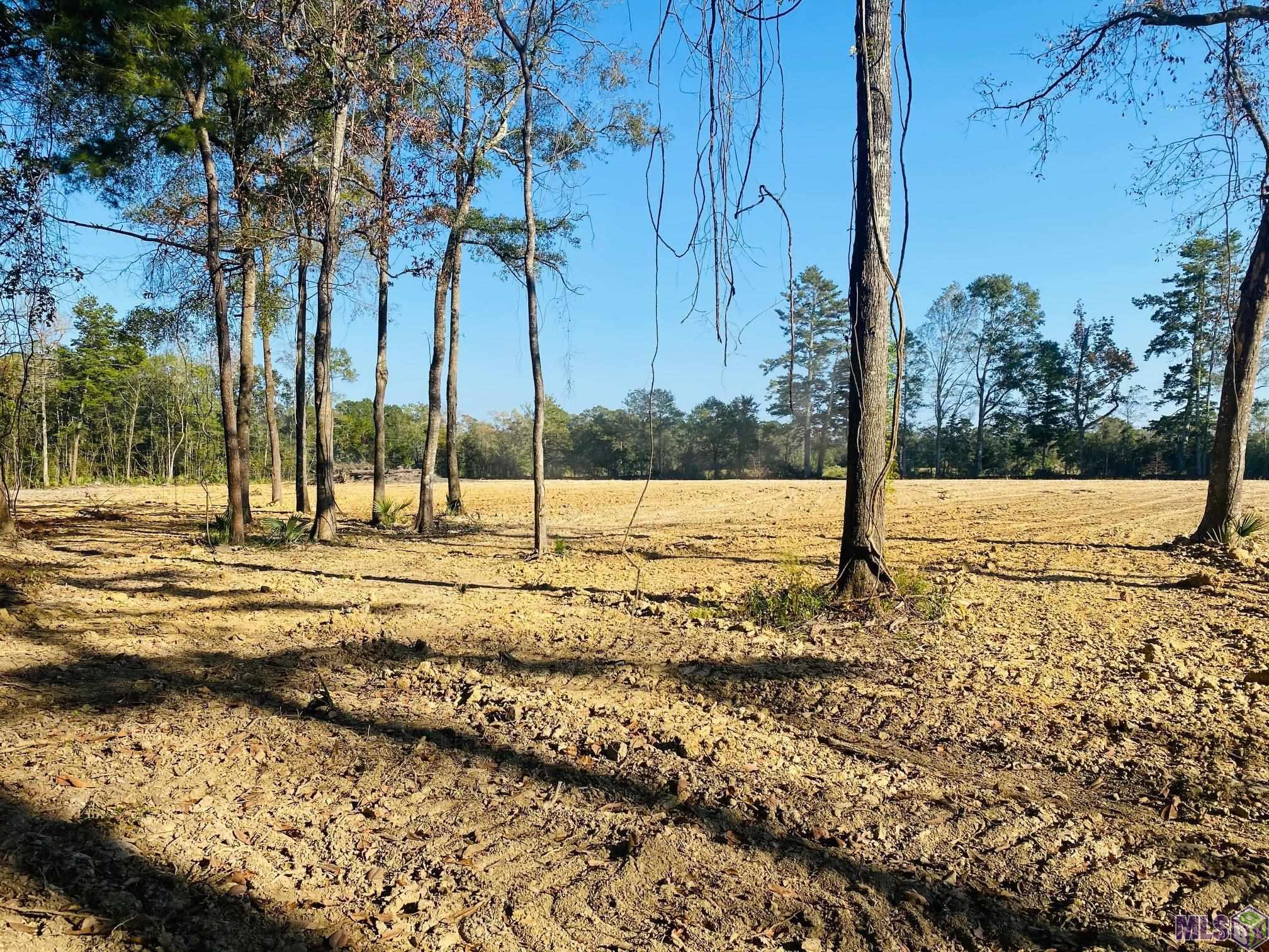9101 Hillon Hood Road Denham Springs, LA 70726 - Photo 4 of 14 Gallery Image 4