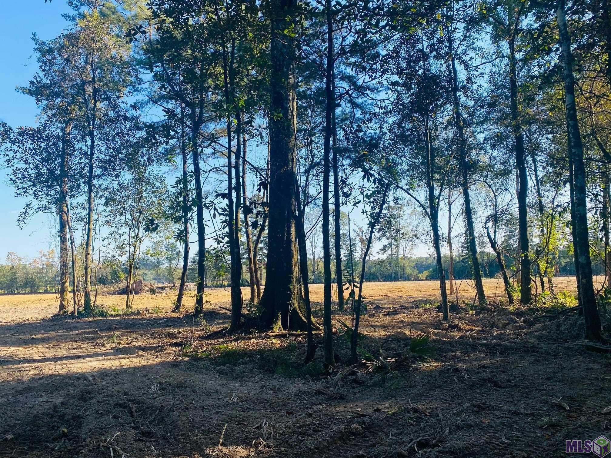 9101 Hillon Hood Road Denham Springs, LA 70726 - Photo 6 of 14 Gallery Image 6