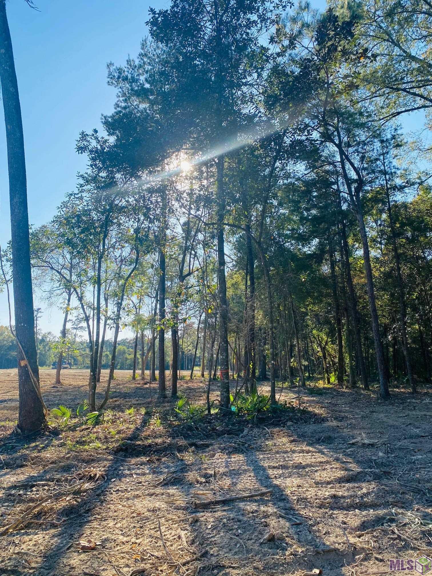 9101 Hillon Hood Road Denham Springs, LA 70726 - Photo 9 of 14 Gallery Image 9