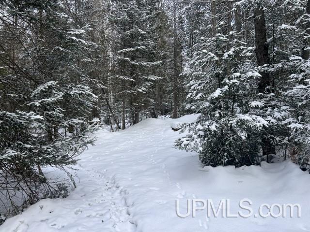 Parcel A Bootjack Road Lake Linden, MI 49945 - Photo 36 of 43 Gallery Image 36