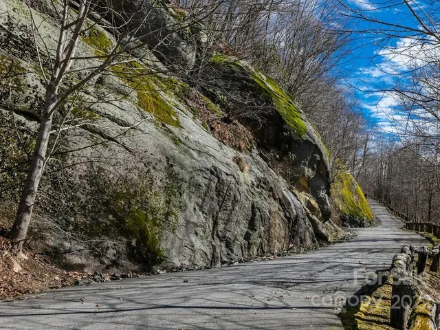 $12,500 | 11 F Red Bud Lane, Unit 11F, Hendersonville, NC 28739