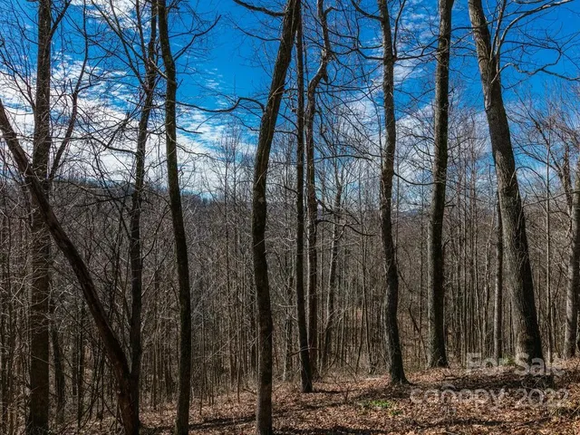 $12,500 | 11 F Red Bud Lane, Unit 11F, Hendersonville, NC 28739