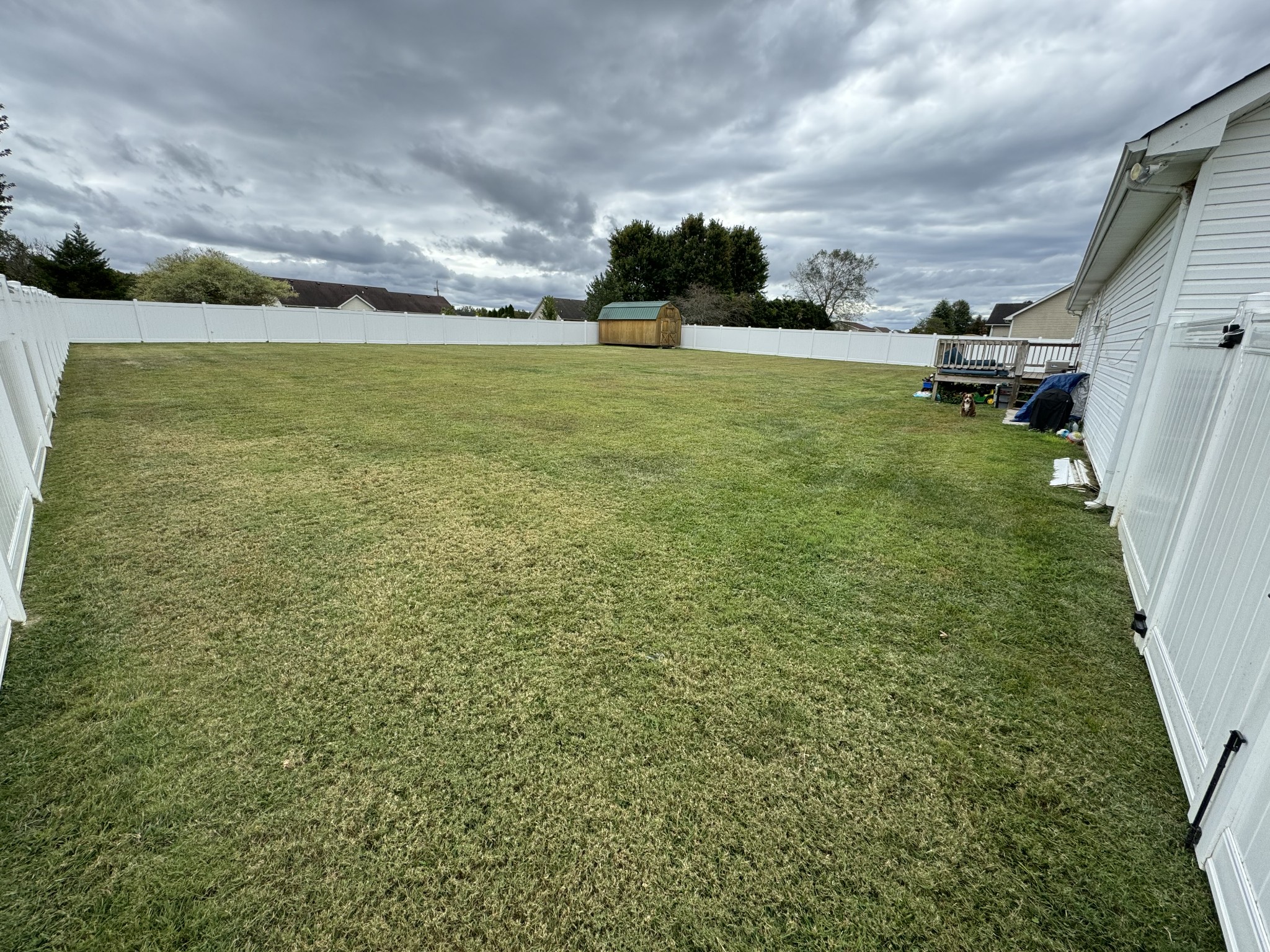 1724 Parker Road Manchester, TN 37355 - Photo 4 of 29 a view of a big yard with an empty space