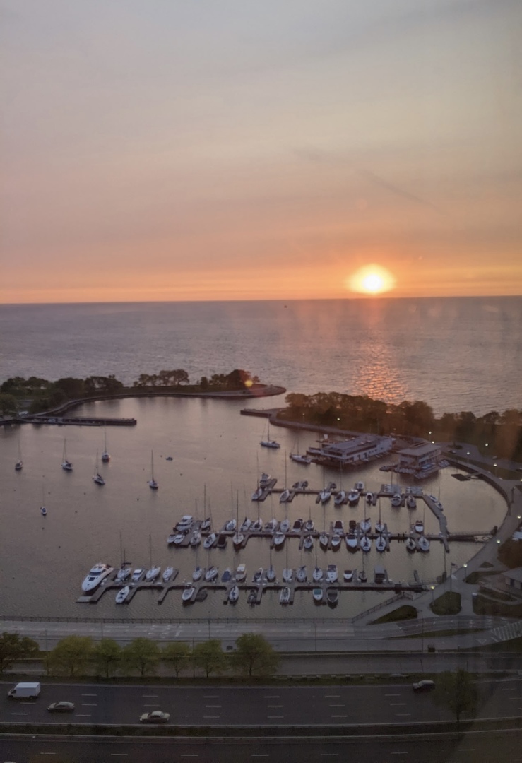 3150 North Lake Shore Drive, Unit 30C Chicago, IL 60657 - Photo 40 of 41 an aerial view of lake and mountain view
