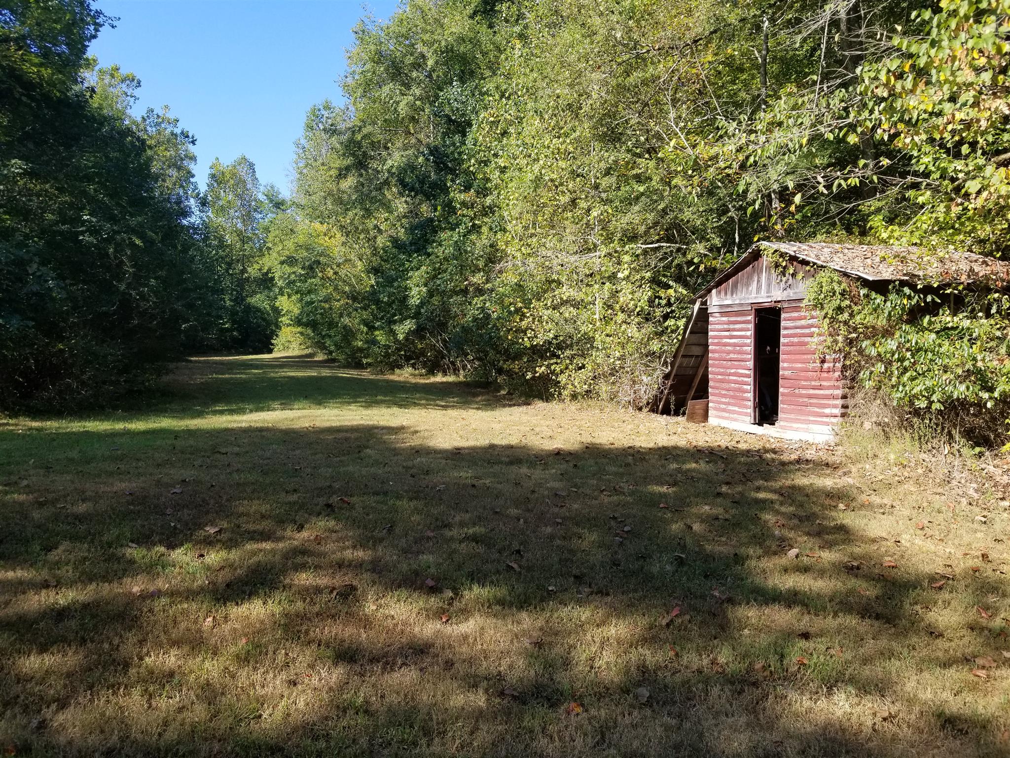 242 Brushy Road Centerville, TN 37033 - Photo 4 of 10 Hollow behind the house