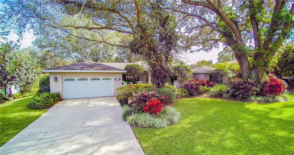 11007 Ridgedale Road Temple Terrace, FL 33617 - Photo 1 of 1 Gallery Image 1