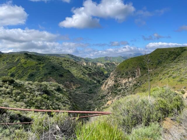 Hasley Canyon Road Castaic, CA 91384 - Photo 24 of 34 a view of a yard with a lake view
