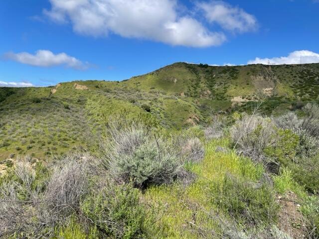Hasley Canyon Road Castaic, CA 91384 - Photo 25 of 34 a view of a mountain