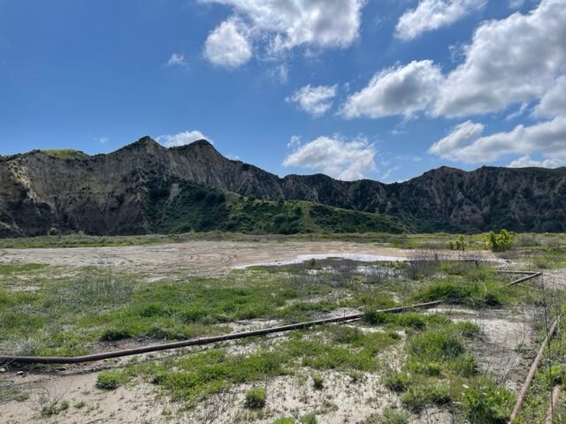 Hasley Canyon Road Castaic, CA 91384 - Photo 26 of 34 a view of a lush green outdoor space with a lake view