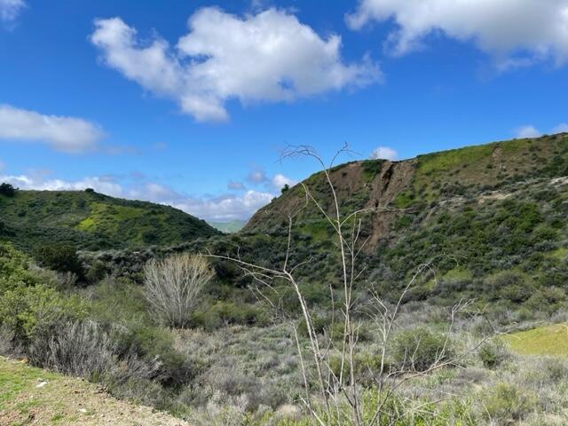 Hasley Canyon Road Castaic, CA 91384 - Photo 29 of 34 a view of a yard with a tree