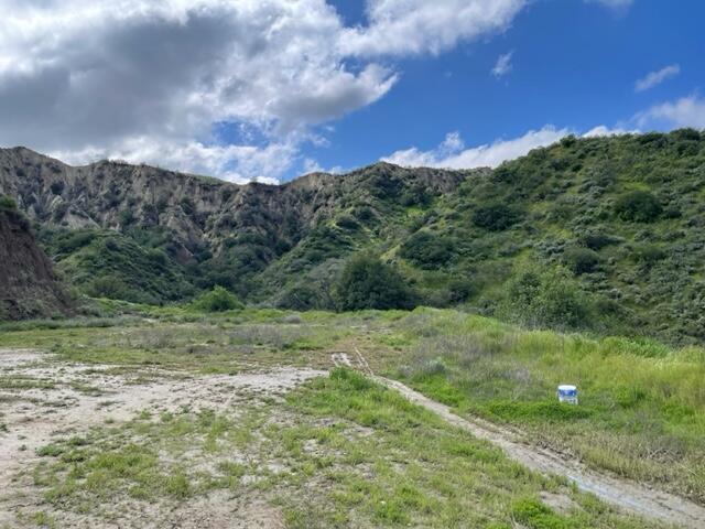 Hasley Canyon Road Castaic, CA 91384 - Photo 34 of 34 a view of a field with an trees