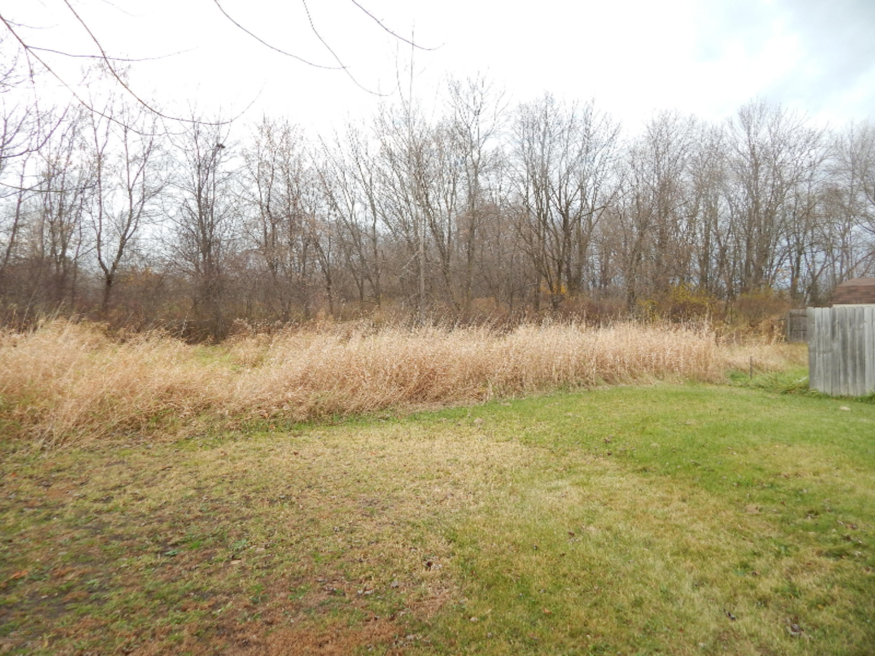 355 River Road Sparta, MI 49345 - Photo 22 of 22 DSCN5775