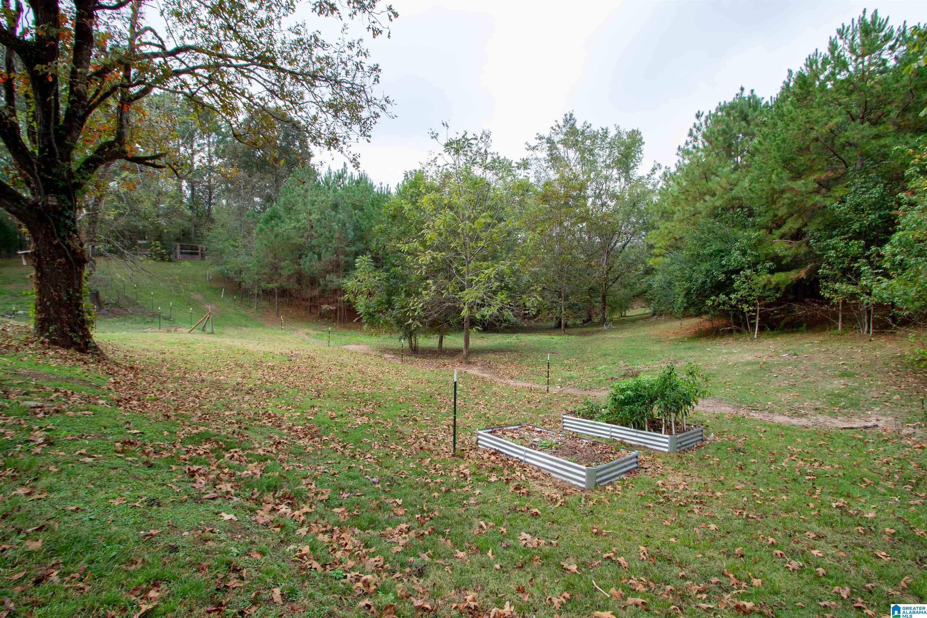 633 Macedonia Road Ragland, AL 35131 - Photo 39 of 52
