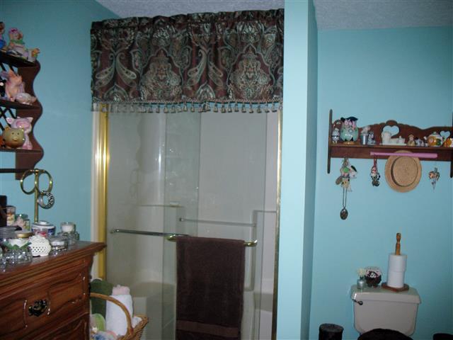 215 Valley View Road Dover, TN 37058 - Photo 11 of 19 Master Bath offers step-in shower.