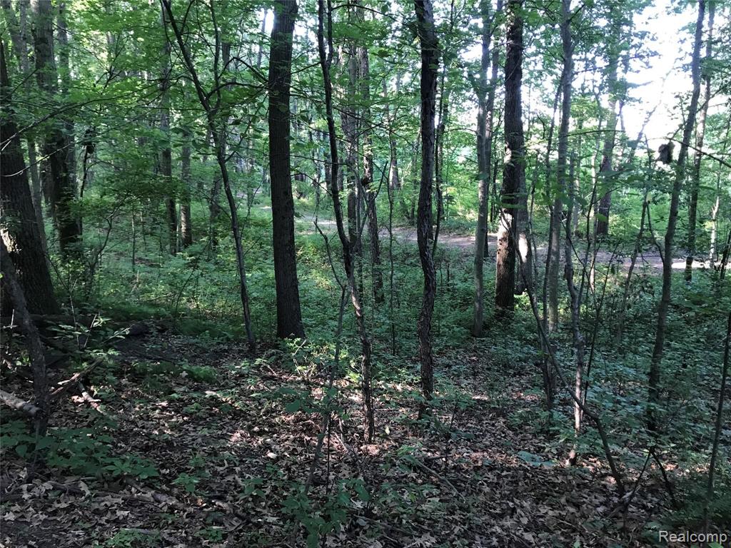 13725 Wilmore Road Stockbridge, MI 49285 - Photo 83 of 94