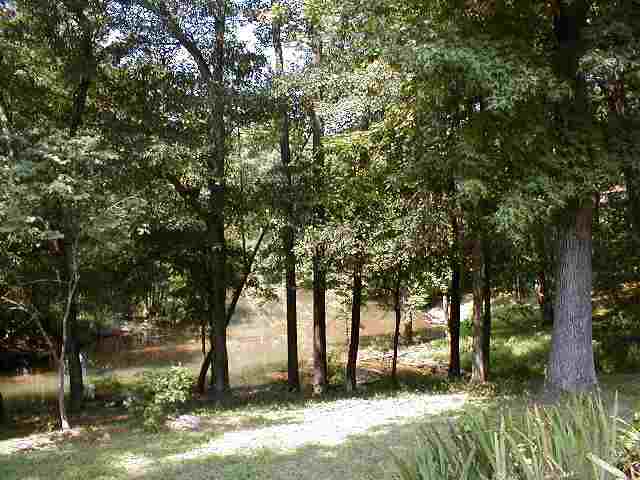 119 Windjammer Way Anderson, SC 29626 - Photo 4 of 9 Gallery Image 4