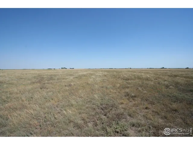 a black and white photo of a garden