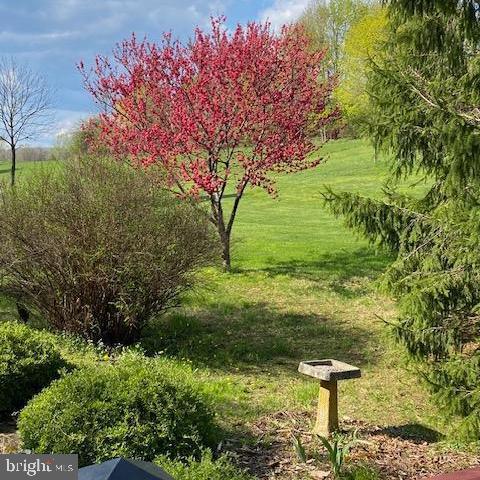 5531 Spring Road Shermans Dale, PA 17090 - Photo 72 of 76
