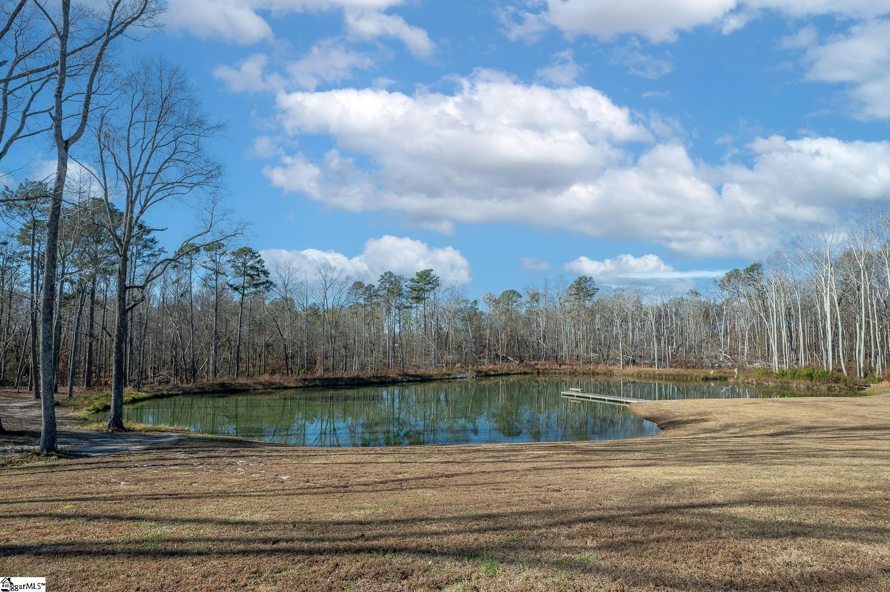 4034 Greenpond Road Gray Court, SC 29645 - Photo 39 of 47
