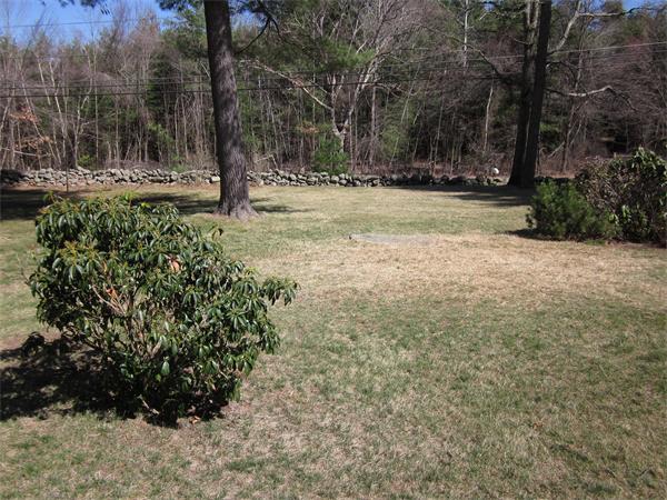11 Rice Corner Road Brookfield, MA 01506 - Photo 26 of 30 a view of a yard with plants and trees