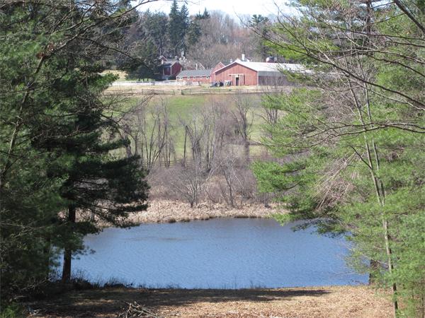11 Rice Corner Road Brookfield, MA 01506 - Photo 28 of 30 a view of a yard