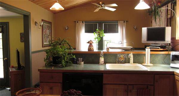 11 Rice Corner Road Brookfield, MA 01506 - Photo 5 of 30 a kitchen with a sink and potted plant
