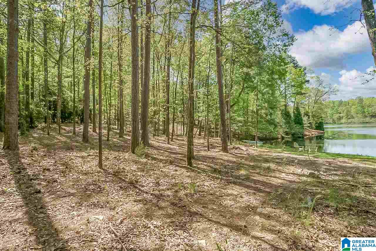 3 Innisbrook Lane Birmingham, AL 35242 - Photo 42 of 48