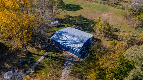 a view of a backyard with plants