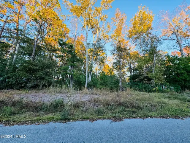 $11,000 | 211 Susanne Street, Hampton, SC 29924