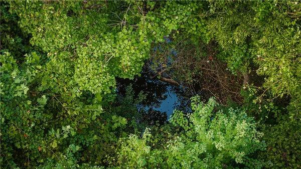 $3,400,000 | 8525 Farm-To-Market Road 2754, Brenham, TX 77833