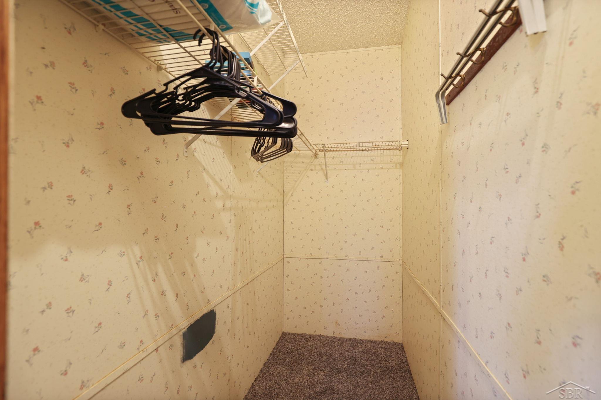 5237 Beachwood Road Standish, MI 48658 - Photo 40 of 68 Master Walk-In closet