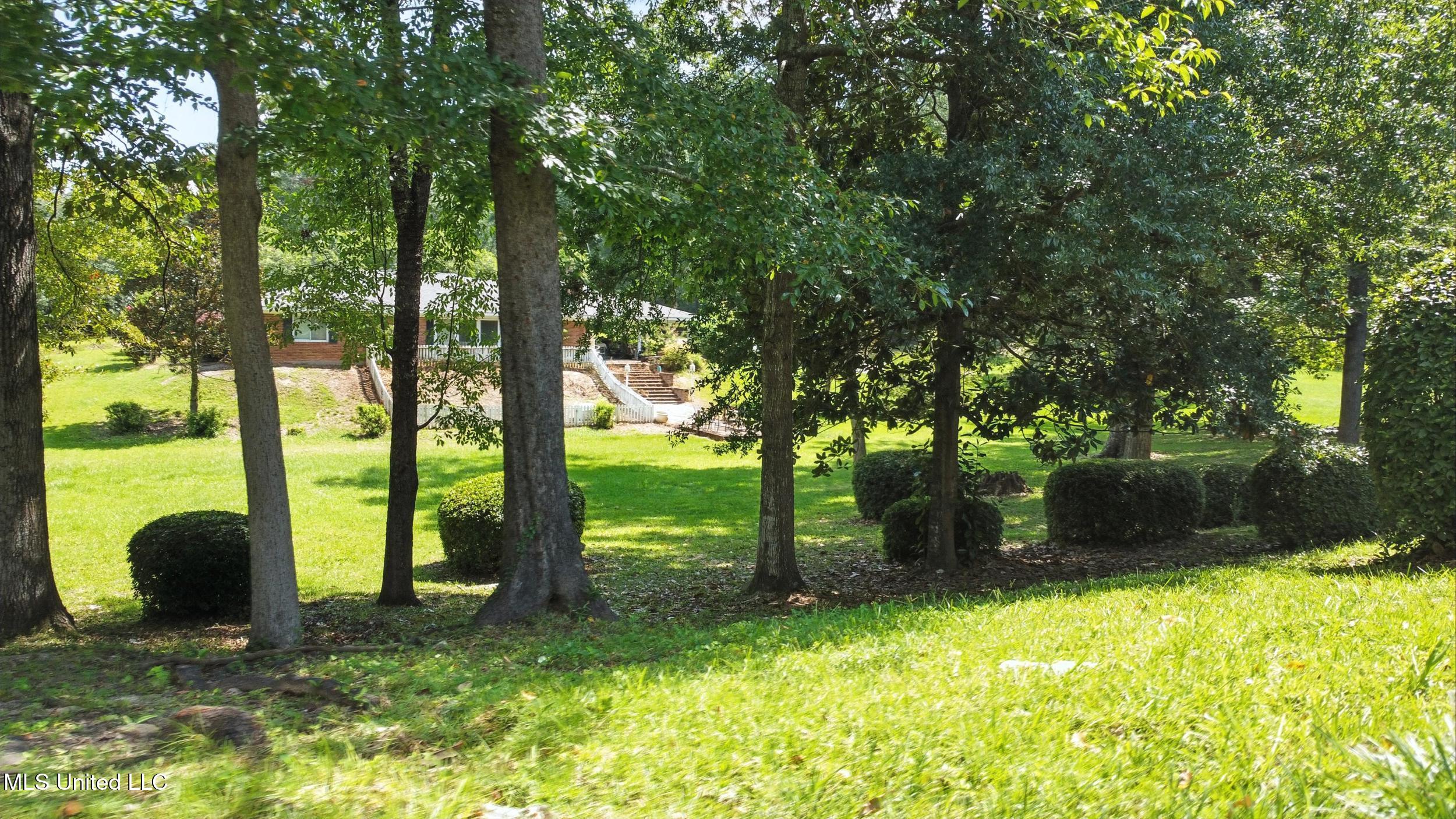 611 West 2nd Avenue Wiggins, MS 39577 - Photo 31 of 40 31_back yard 2