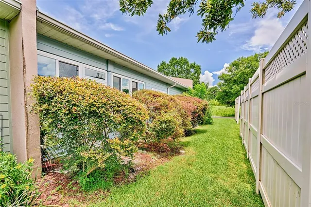 a view of a backyard with plants