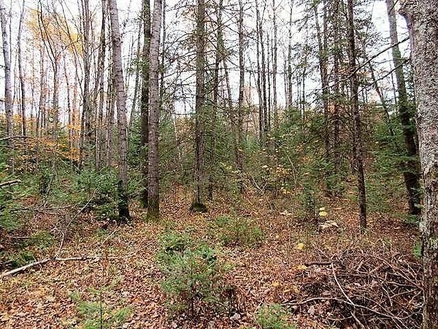 8754 Murphy Lake Road Presque Isle, WI 54557 - Photo 21 of 26 Gallery Image 21