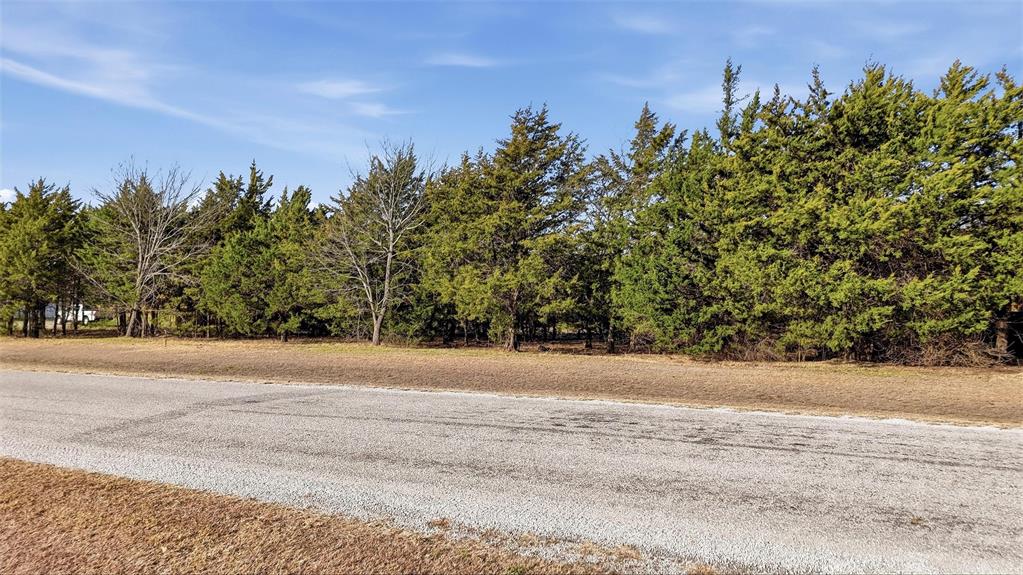 497 Brandon Way Pottsboro, TX 75076 - Photo 20 of 25 a view of a yard and a yard