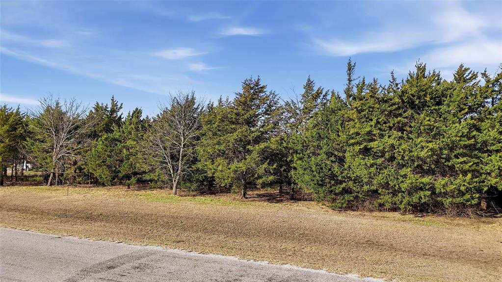 497 Brandon Way Pottsboro, TX 75076 - Photo 21 of 25 a view of a field with trees in the background
