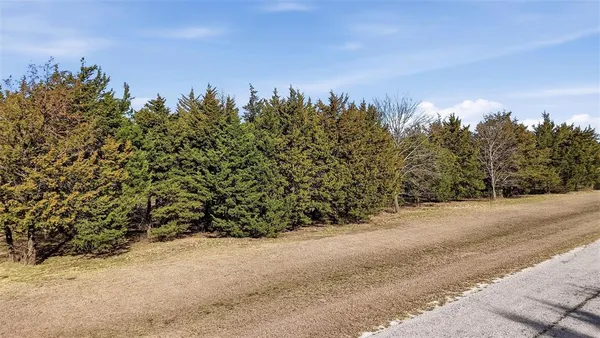 a view of a yard with plants and trees