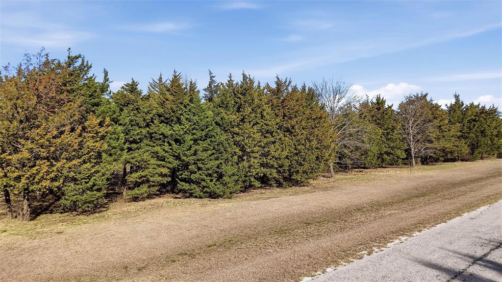 497 Brandon Way Pottsboro, TX 75076 - Photo 22 of 25 a view of a yard with a tree