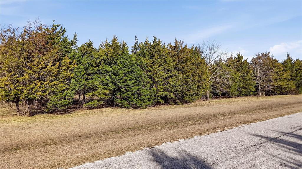 497 Brandon Way Pottsboro, TX 75076 - Photo 23 of 25 a street view along with trees