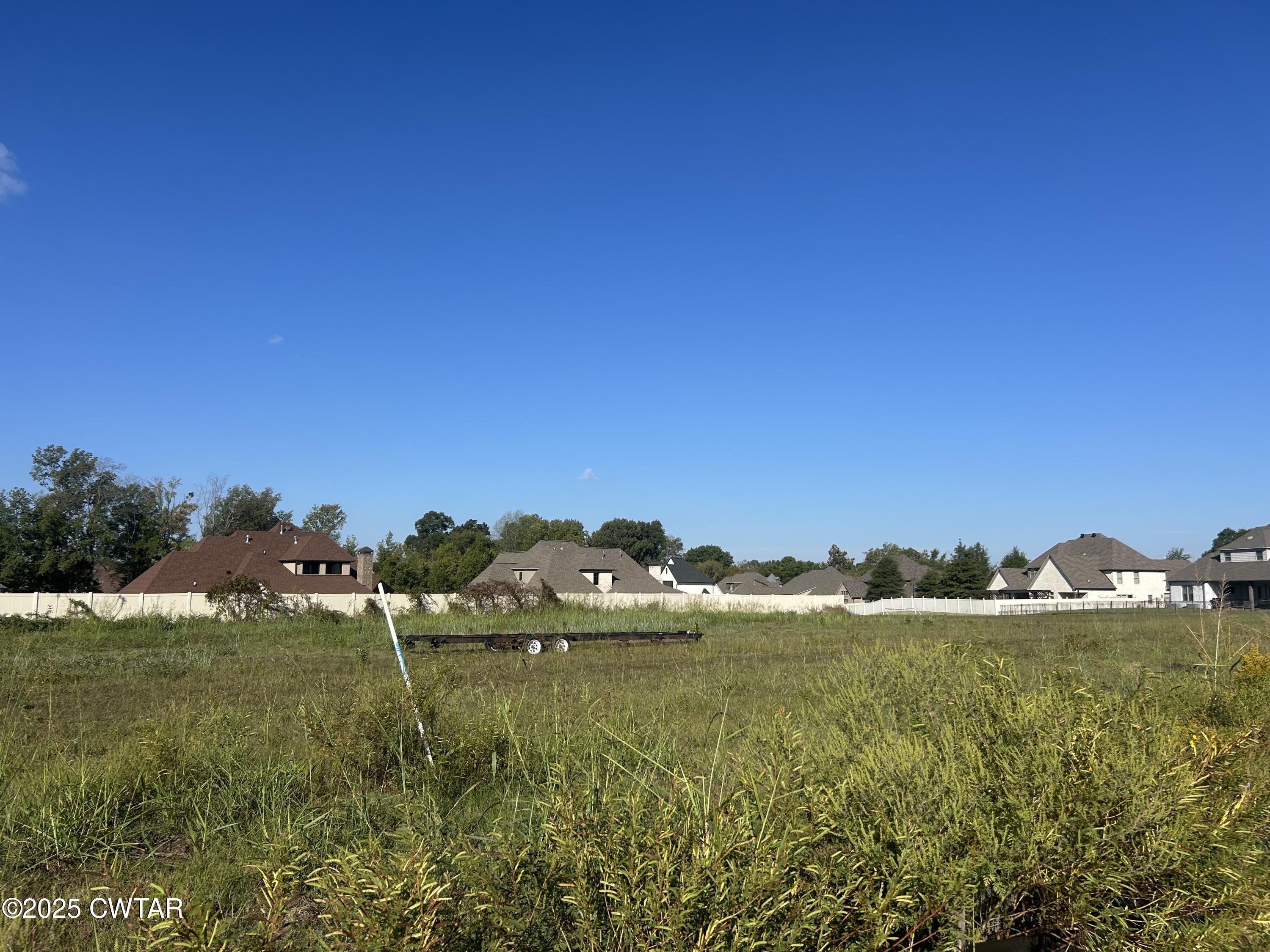 64 Swanbourne Cove Jackson, TN 38305 - Photo 3 of 3 a view of lake view and mountain view