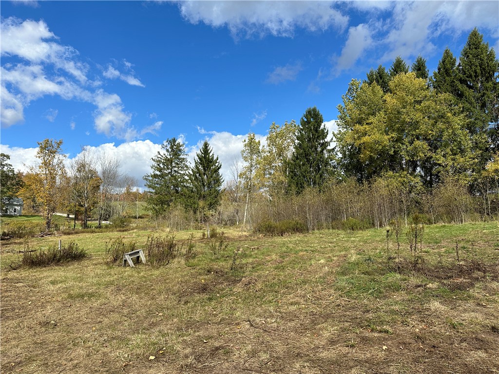 0 Jackson Hill Road Treadwell, NY 13846 - Photo 5 of 16